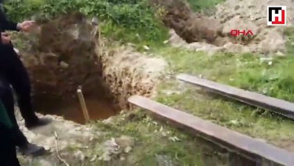 Tedavi olmayı bekleyen yaralı at boğazı kesilerek öldürüldü