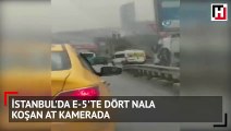 İstanbul'da E-5'te dört nala koşan at kamerada
