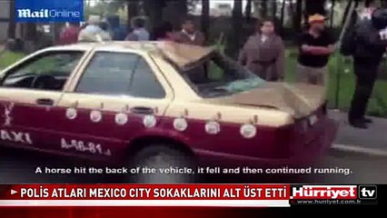 KORKUP KAÇAN POLİS ATLARI MEXICO CITY SOKAKLARINI ALTÜST ETTİ