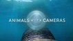Animals with Cameras - Series 2 BBC HD 2022