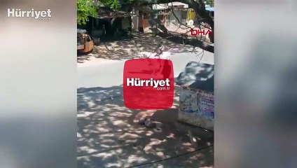 Hindistan'da ilginç Corona Virüs uyarısı: Atın üzerine virüsün resmini çizdi