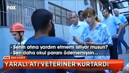 Sahibi izin vermedi yaralı atı veteriner kurtardı