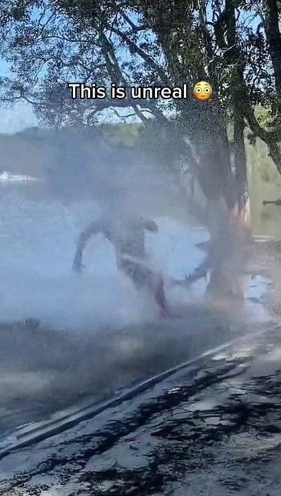 Amazing Videos
