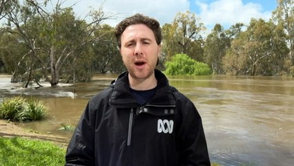 Police suspend search for missing Wagga man due to flood conditions
