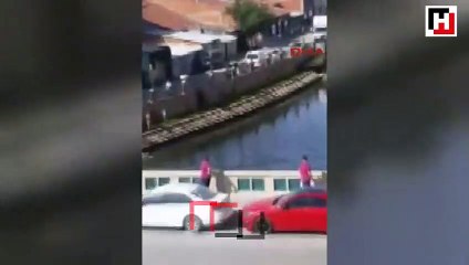 Porsuk Çayı'na düşen at kurtarıldı