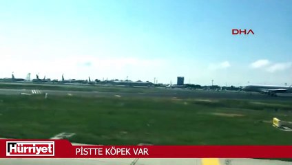 Atatürk Havalimanı'nın pistine köpek girdi