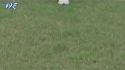 Hilarious Khesari Lal Comedy Clips 🤣 | Best Jokes & Funny Moments