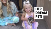 SURPRISING POSIE WITH A PET GUINEA PIG FOR 24 HOURS
