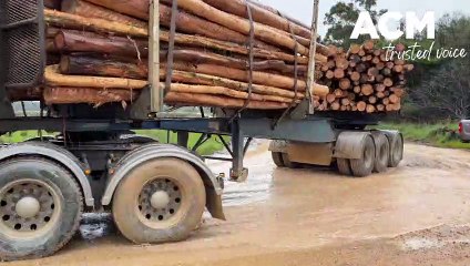 Woolsthorpe-Heywood Road - October 13, 2022 - Warrnambool Standard