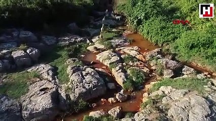 Dilovası Eynerce Deresi'nde kimyasal atık şüphesi