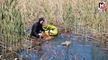 Sapanca Gölü'nden 300 torba çöp çıkarıldı