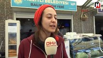 Sosyoloji mezunu Ayça, iş bulamayınca balıkçı oldu