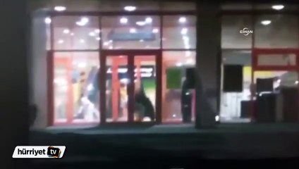 AVM'ye giren ayı çıkışı bulamayınca çılgına döndü