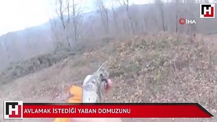 Avlamak istediği yaban domuzunun saldırısına uğradı