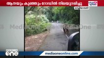 ''അങ്ങനെ ഇപ്പൊ പോവണ്ട''; നെല്ലിയാമ്പതിയിൽ ബസിന് മുന്നിൽ കാട്ടാനയും കുഞ്ഞും