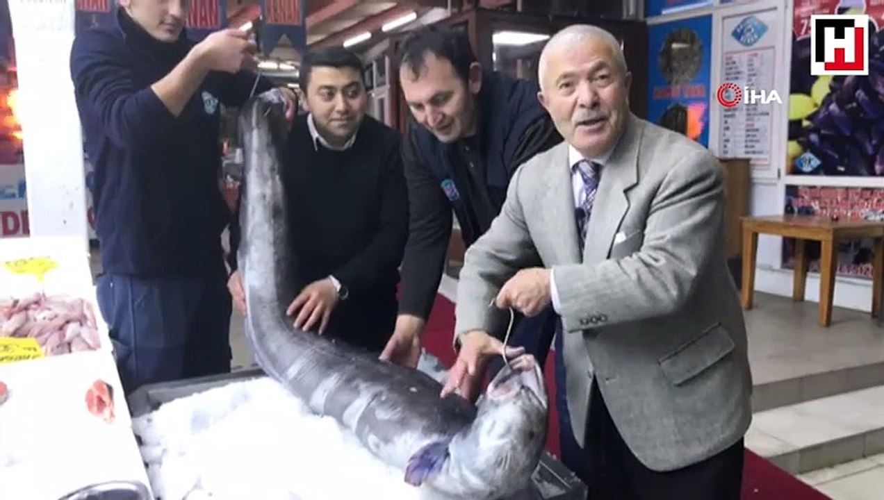 3 metre boyundaki dev yılan balığı görenleri hayrete düşürdü