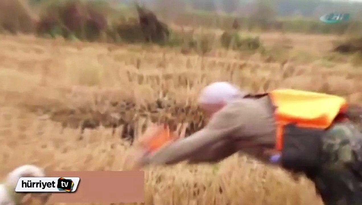 Böyle olur Rizelinin bıldırcın avı