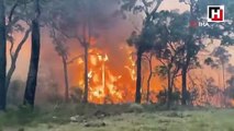 Avustralya’da orman yangınları güneye doğru ilerliyor