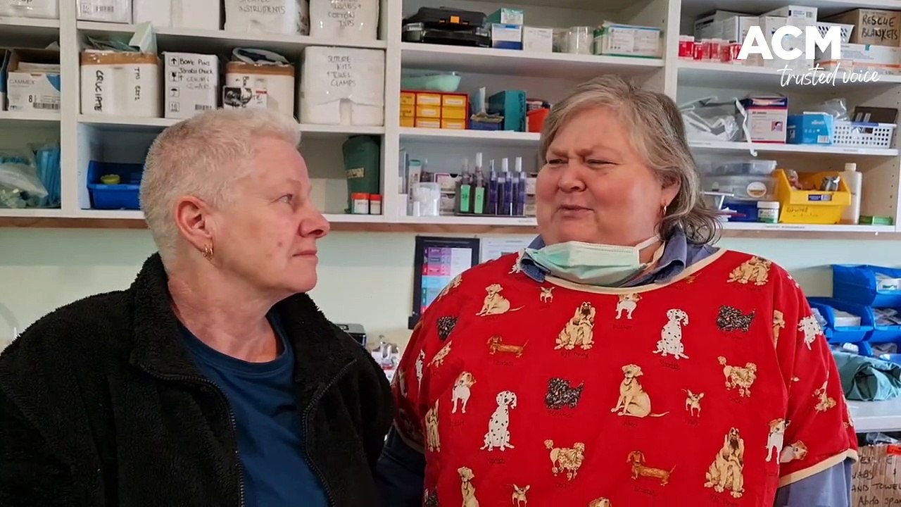 Pauline and Emma return from Ukraine - The Courier - October 14 2022