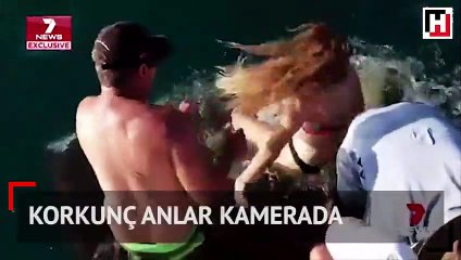 Köpek balığına dokunmaya çalıştı… Korkunç anlar