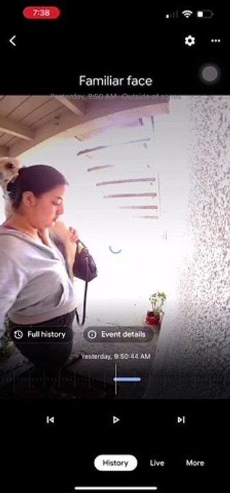 Dame partant en portant un chiot frappe la tête dans les escaliers - Buzz Buddy