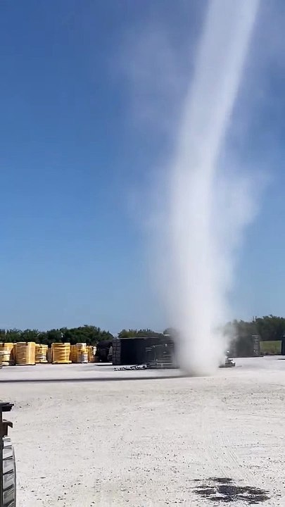 Défini Dust Devil - Buzz Buddy
