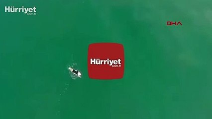 Korku dolu anlar! Sörfçü, köpek balığından son anda kurtuldu