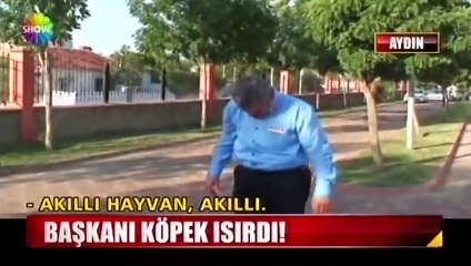 Belediye Başkanı Haluk Alıcık'ı köpek ısırdı