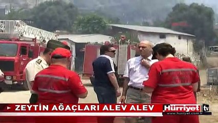 AYDIN'DA KORKUTAN YANGIN