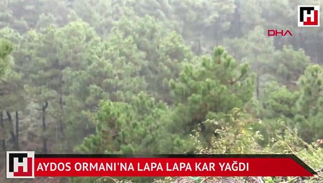 Aydos Ormanı'na lapa lapa kar yağdı