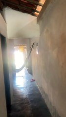 Oiseaux qui se chamaillent - Buzz Buddy