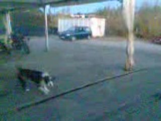 le frein a main de la Y10 et charles