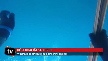 Köpekbalığı saldırısını böyle kaydetti