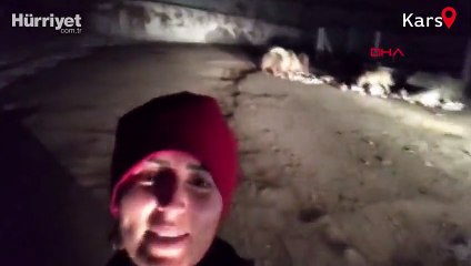 İlçe merkezine inen ayı ve yavrularıyla selfie