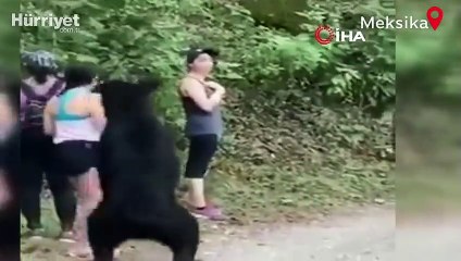 Meksika’da parkta karşılarına çıkan ayı ile selfie çektiler