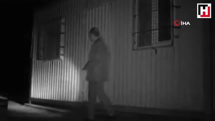 Balın kokusunu alan ayı kapıyı açmak için böyle uğraştı