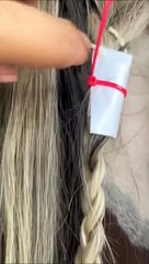 Woman Braids Contact Info into Horse's Mane Ahead of Hurricane Ian   - Buzz Buddy