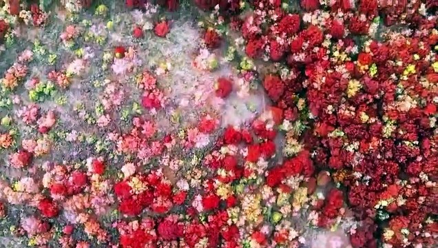 Doğa severler için alternatif bir keşif rotası: Boyabat, Durağan ve Ayancık