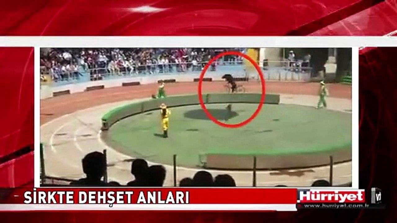 SİRKTE DEHŞET ANLARI