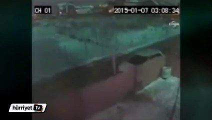 Romanya semalarını meteor aydınlattı