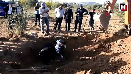 Zeytinlikte 2 bin 500 yıllık tarihi eser bulundu