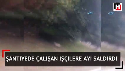 Şantiyede çalışan işçilere ayı böyle saldırdı