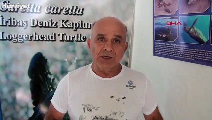 Kuşadası'nda en büyük erkek yeşil deniz kaplumbağası kıyıya vurdu