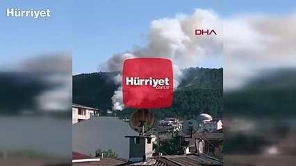 Son dakika haberi... Kartal Aydos'ta ormanlık alanda yangın çıktı