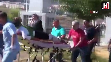 Ayı uçurumdan itti! Jandarma seferber oldu