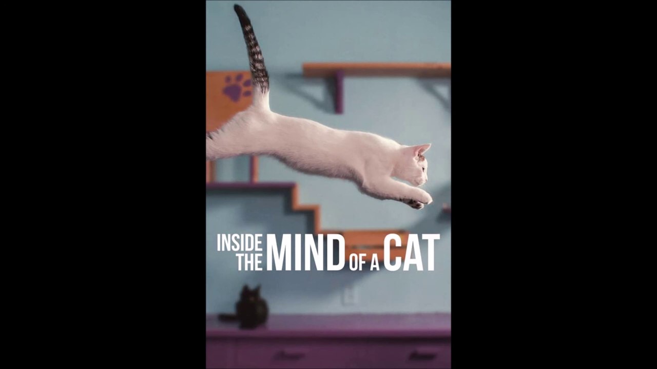 Inside the Mind of a Cat - Official Trailer © 2022 Documentary