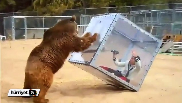 Japonya'da heyecan isteyenlerin yeni adresi Ayı Küpü