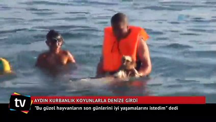 Ünlü şarkıcı kurbanlık koyunlarla lüks yata binip, denize girdi