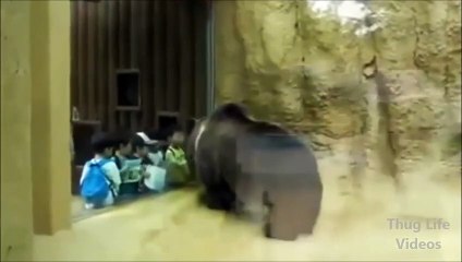 Ayıdan çocuklara dans dersi