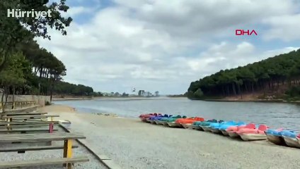 Son dakika... Aydos Ormanı'nda yangın